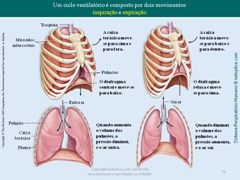 Diapositivo58