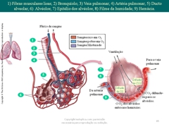 Diapositivo85