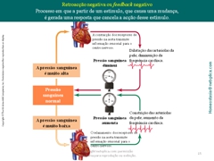 Diapositivo15