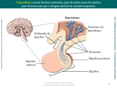 Diapositivo85
