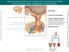 Diapositivo88