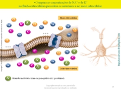 Diapositivo23