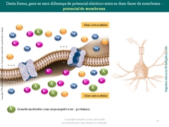 Diapositivo27