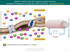 Diapositivo28