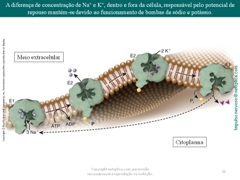 Diapositivo31