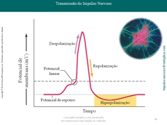 Diapositivo48