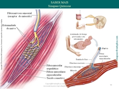 Diapositivo90