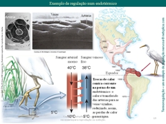 Diapositivo19