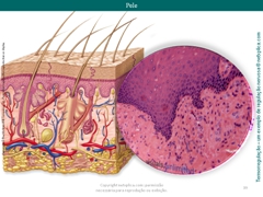 Diapositivo39