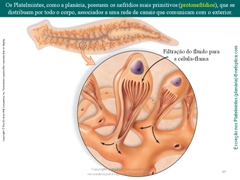 Diapositivo49