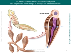 Diapositivo53