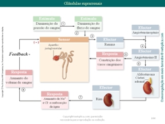 Diapositivo104