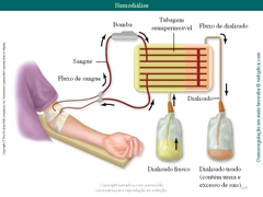 Diapositivo109