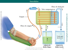 Diapositivo110