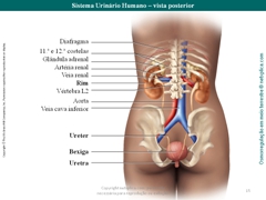 Diapositivo15