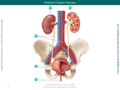 Diapositivo18