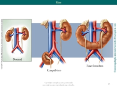 Diapositivo19