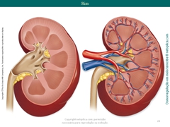 Diapositivo24