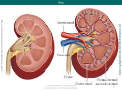 Diapositivo25