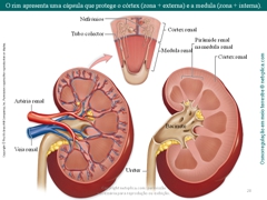 Diapositivo28