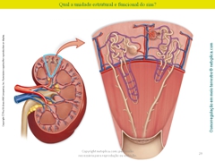 Diapositivo29