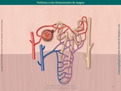 Diapositivo34