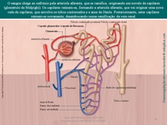 Diapositivo38