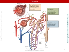 Diapositivo43