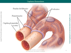 Diapositivo57