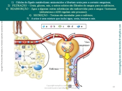 Diapositivo63