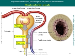 Diapositivo65