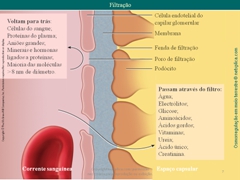 Diapositivo75