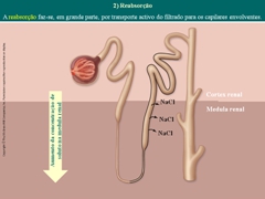 Diapositivo78