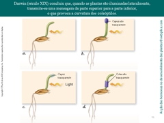 Diapositivo51