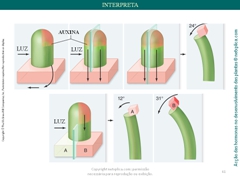 Diapositivo61