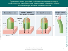 Diapositivo62