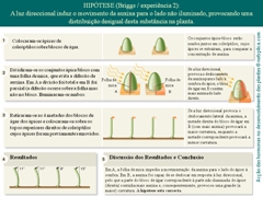 Diapositivo68