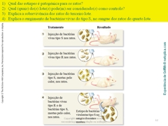 Diapositivo12