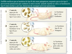 Diapositivo15