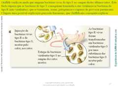 Diapositivo17