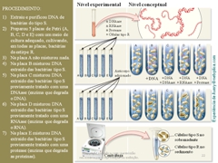 Diapositivo22