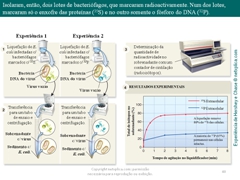 Diapositivo40