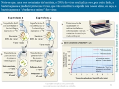 Diapositivo41