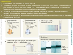 Diapositivo59