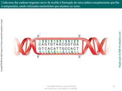 Diapositivo14