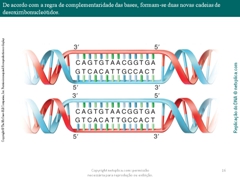 Diapositivo16