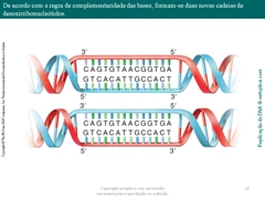 Diapositivo16