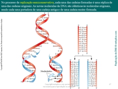 Diapositivo17