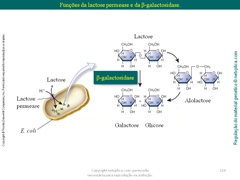 Diapositivo110