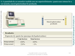 Diapositivo116